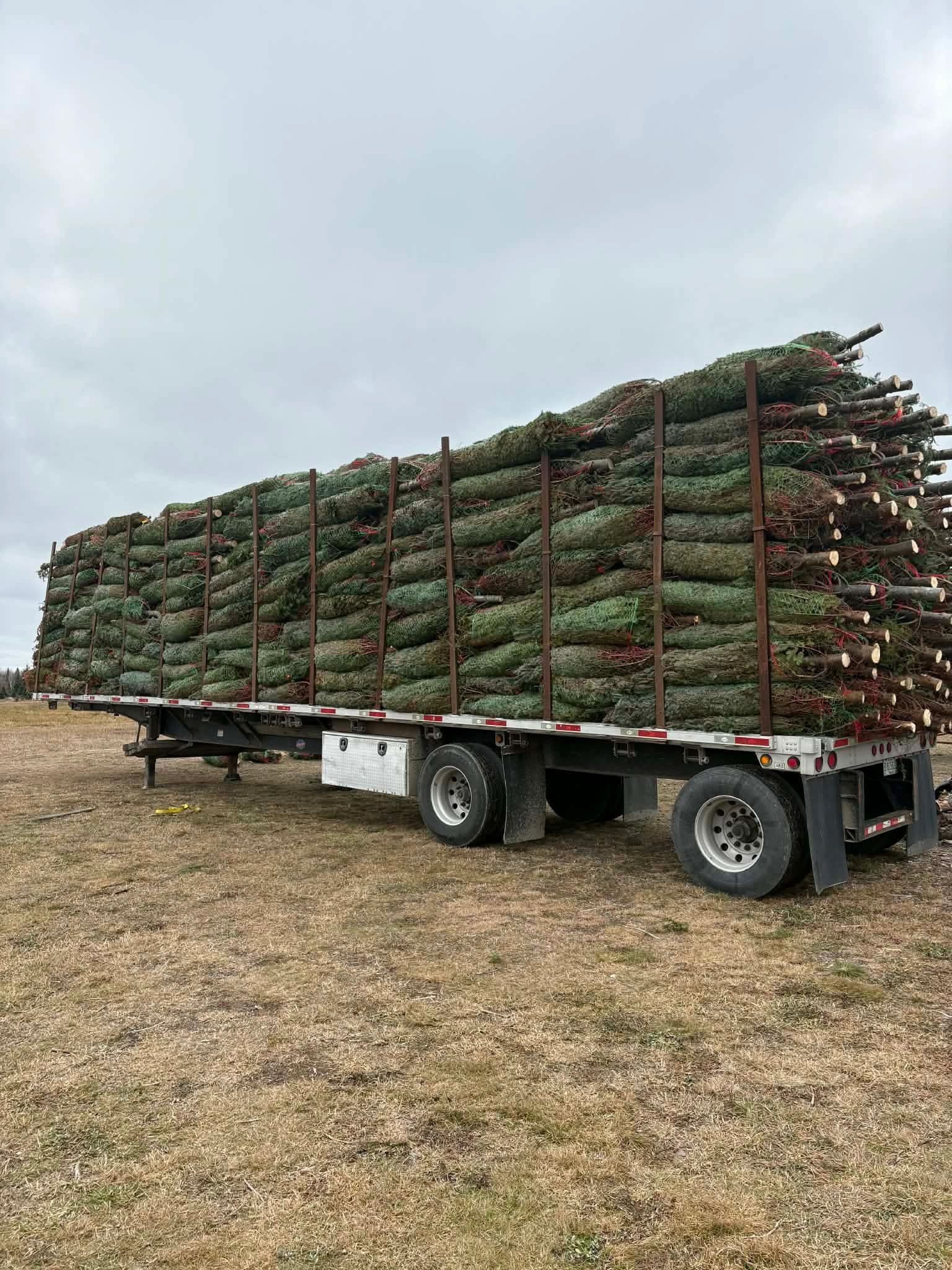 Full load of trees ready for Boston