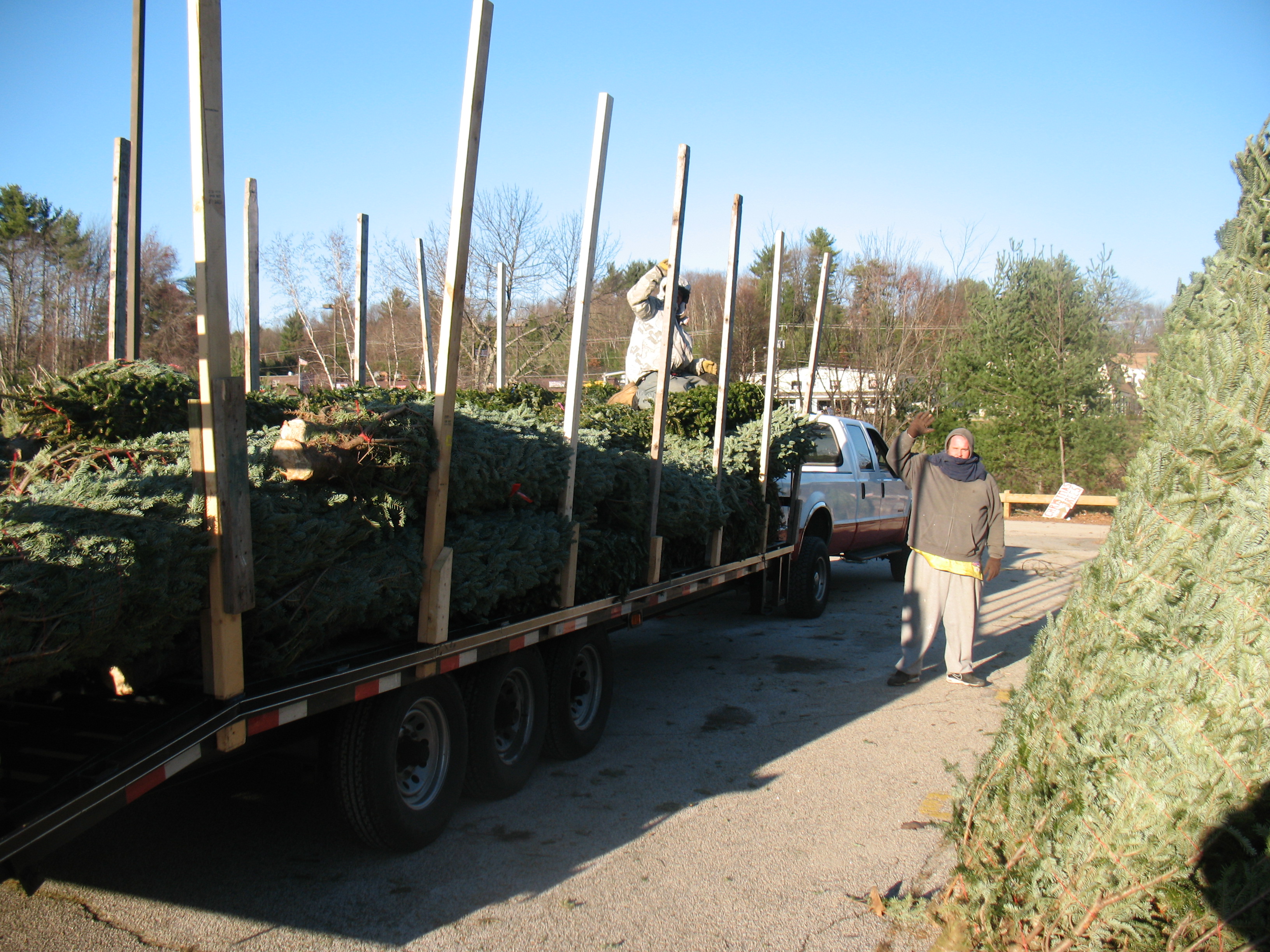 North Pole Xmas Trees retail lot